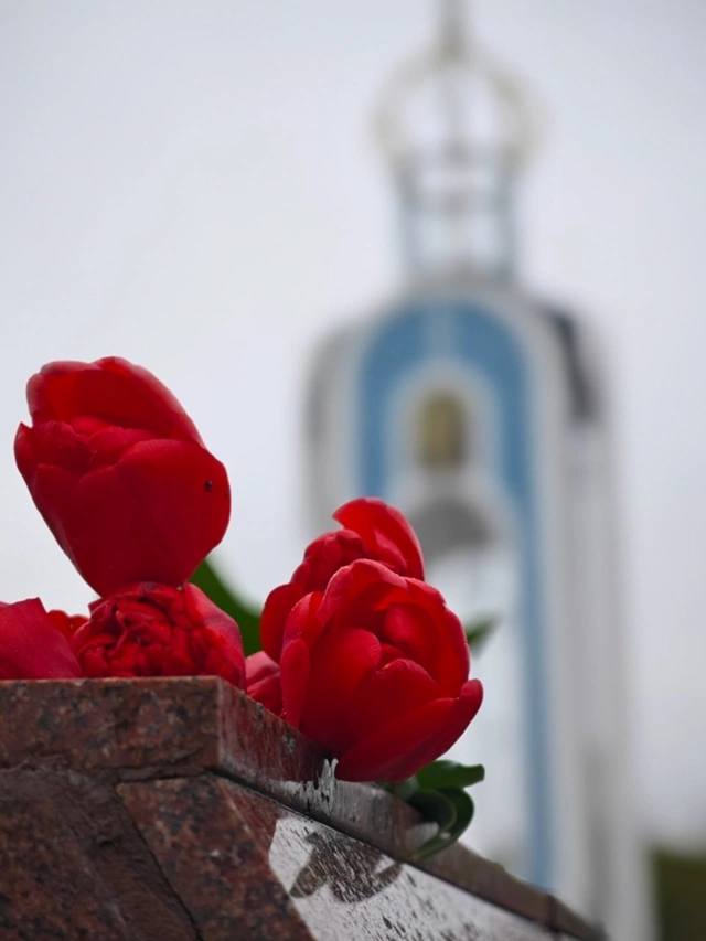 IMG_7869.jpeg